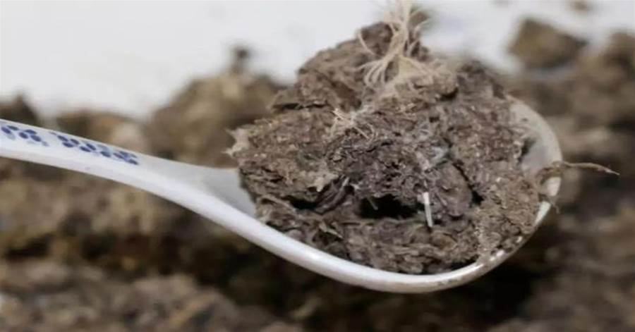 花盆土變硬板結，往土裡撒點便宜貨;，開花爆盆不是夢，過把癮
