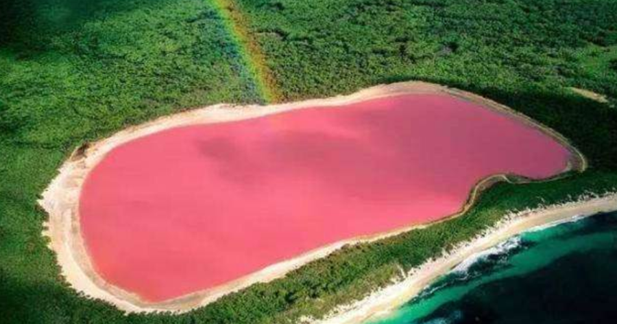 地球也有少女心，揭秘澳大利亞粉紅湖泊，原理其實很簡單