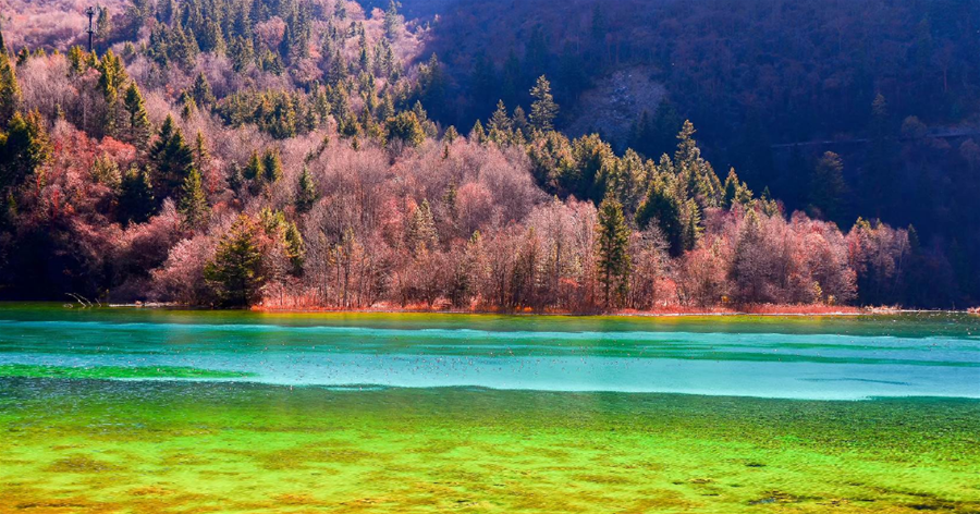 沒有比這里更美的水了，清澈見底的翠湖，看上去十分安靜
