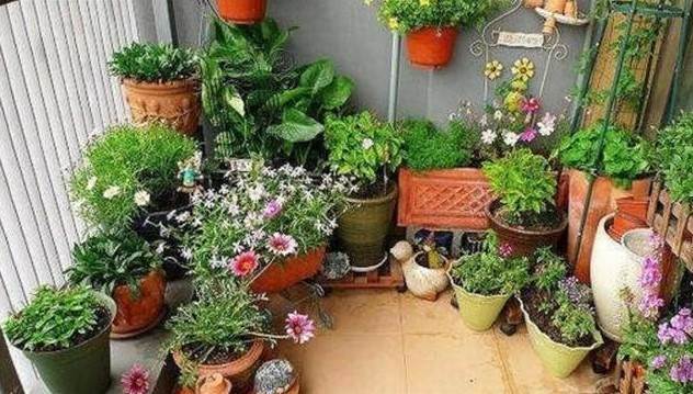 家裡養花的要注意了，這4個位置不能放花，空著也不要擺放，看看你家做對了嗎？