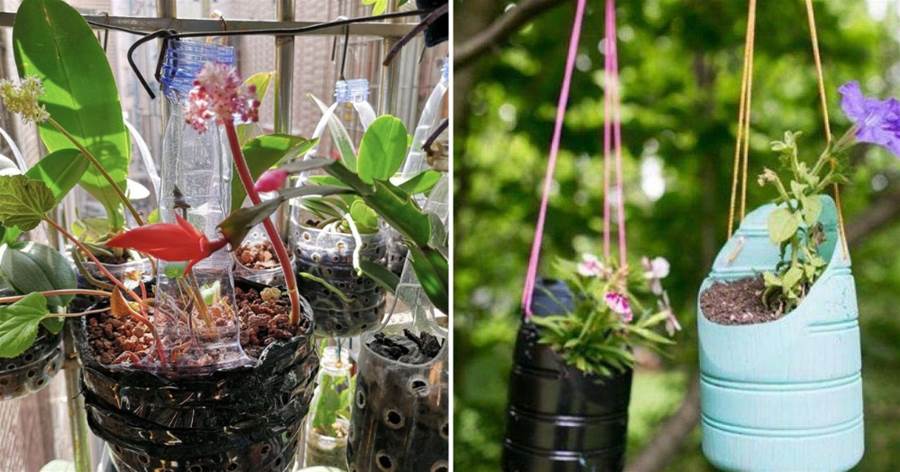 塑料瓶剪幾刀，做成「垂吊」花盆，養綠蘿、吊蘭太方便了