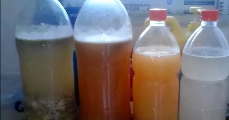 茶花、君子蘭開花少，自制這2種「酸性水」，倒1點，花開爆滿盆