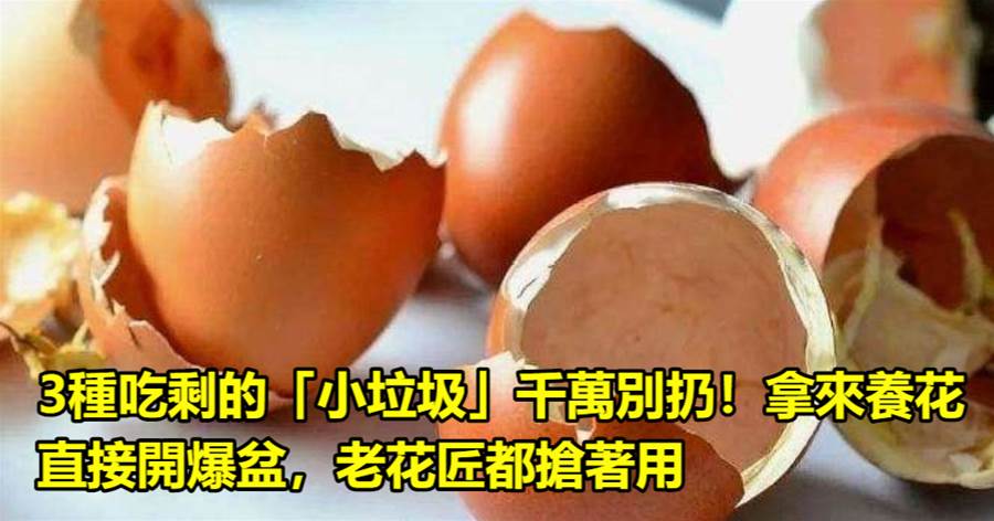 3種吃剩的「小垃圾」千萬別扔！拿來養花直接開爆盆，老花匠都搶著用