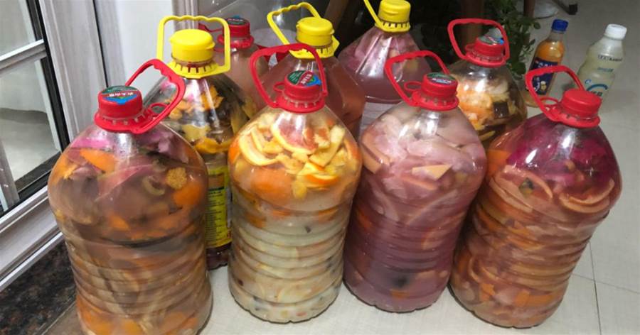 水果皮才是養花的「好寶貝」，簡單一弄做花肥，花朵蹭蹭開不停！
