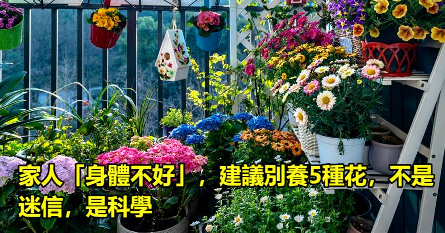 家人「身體不好」，建議別養5種花，不是迷信，是科學