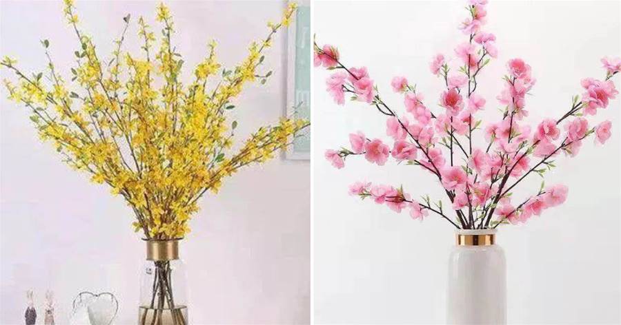 4種「遇水開花」的枝條，春節養家里，寓意「枯木逢春」好運連連